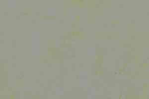 Линолеум Forbo Marmoleum Decibel on Order 373635 green shimmer фото  | FLOORDEALER